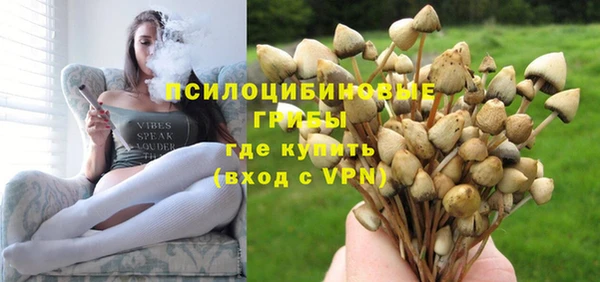 apvp Алексин
