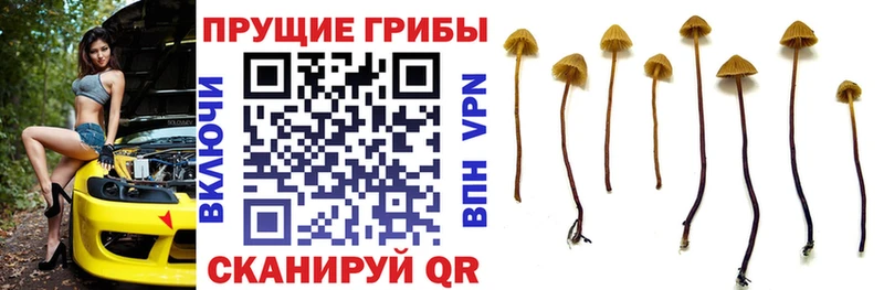 Галлюциногенные грибы мухоморы  что такое   Салават 